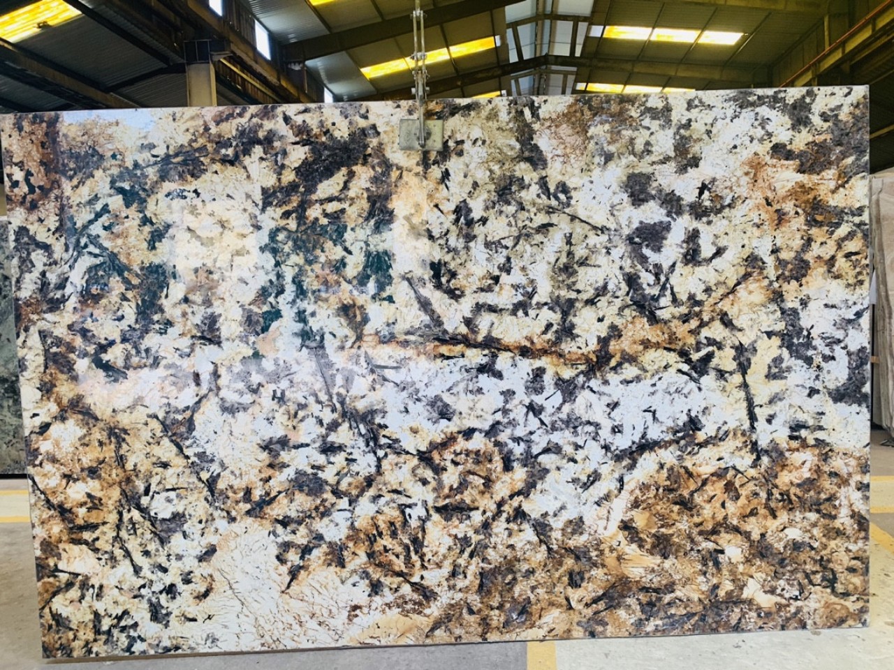 Đá  granit vàn bạch dương